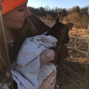 Meet your Posher, Taylor